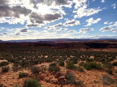 Paisaje del desierto de Arizona