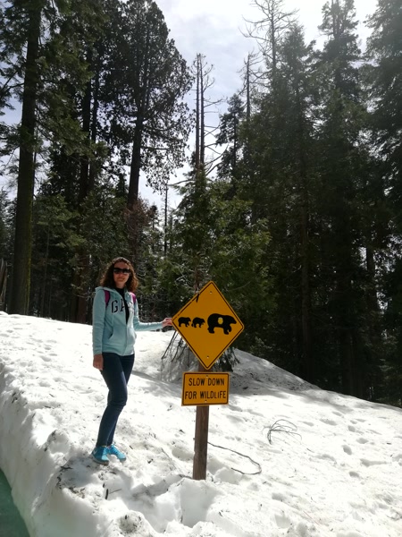 Nieve acumulada en la cuneta