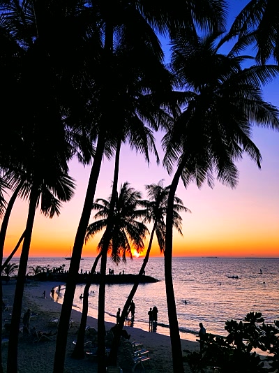 Atardecer entre las palmeras de Maafushi