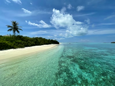 Playa privada del resort