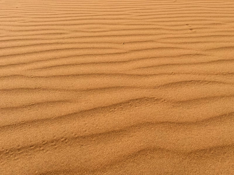 Última mirada a las dunas