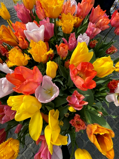 Ramos de tulipanes