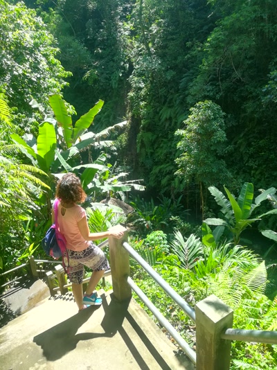 Bajando a la cascada de Tibumana