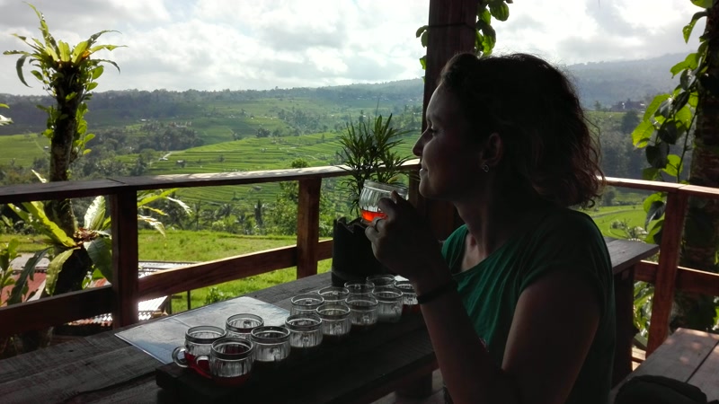 Degustación de cafés y tés con vistas a los arrozales
