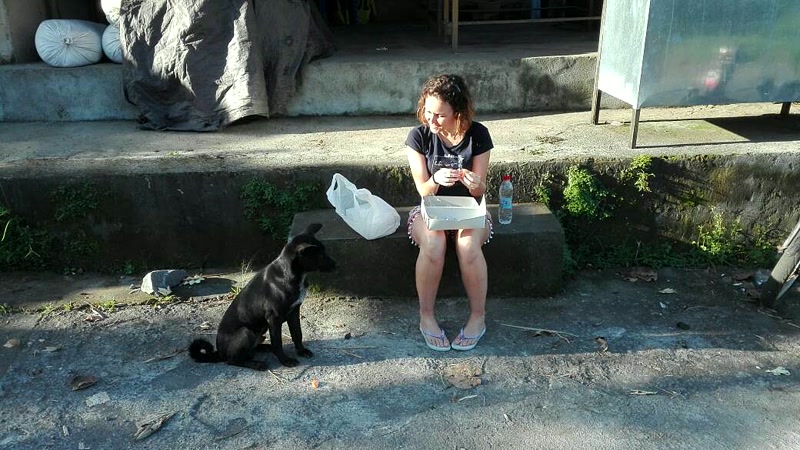 Un perrito nos hizo compañía en el desayuno