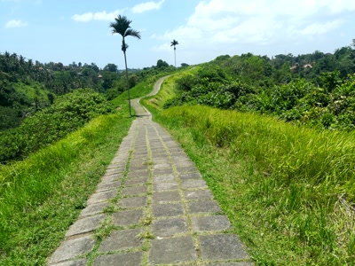 El sendero de Campuhan