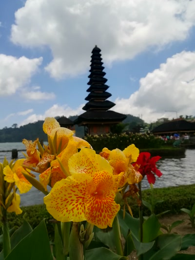Flores en los jardines del templo