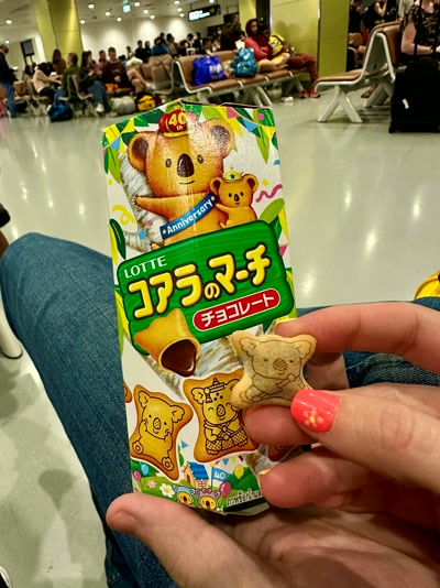 Galletas Koala en la espera
