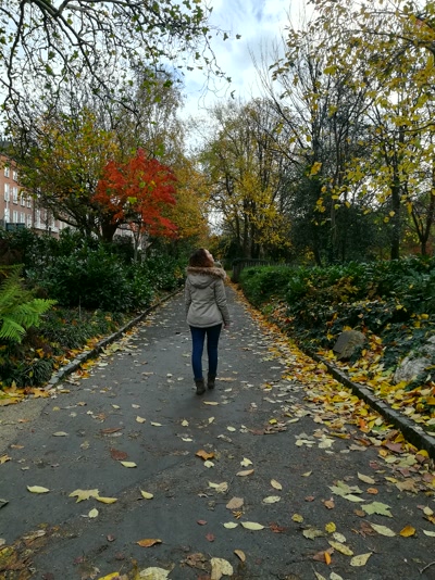 Merrion Square en otoño