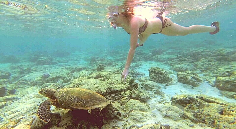 Haciendo snorkel junto a una tortuga