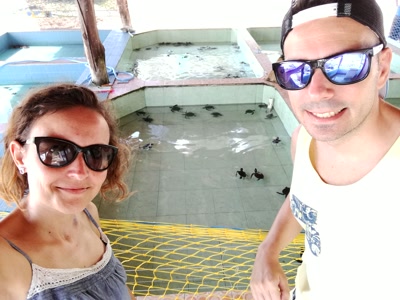 Santuario de tortugas de Gili Meno