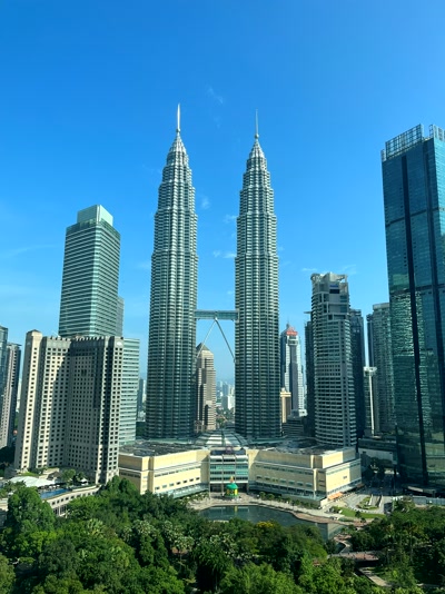 Las Petronas de día