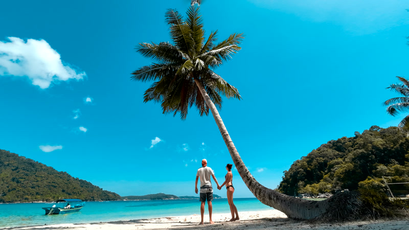 La palmera inclinada de la playa