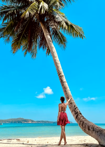 Junto a la palmera