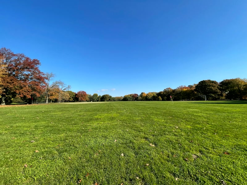 La Great Lawn, la gran explanada del parque — viaje a Nueva York en otoño