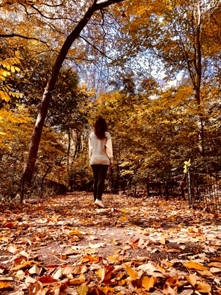 Caminos cubiertos de hojas