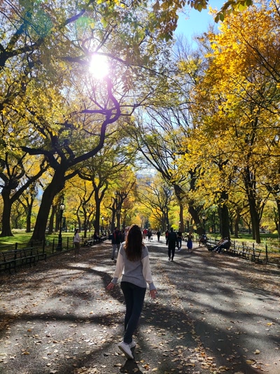 El paseo central del parque — viaje a Nueva York en otoño