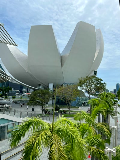 El ArtScience Museum