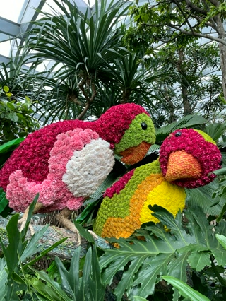 Aves de flores