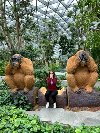 Orangutanes de flores