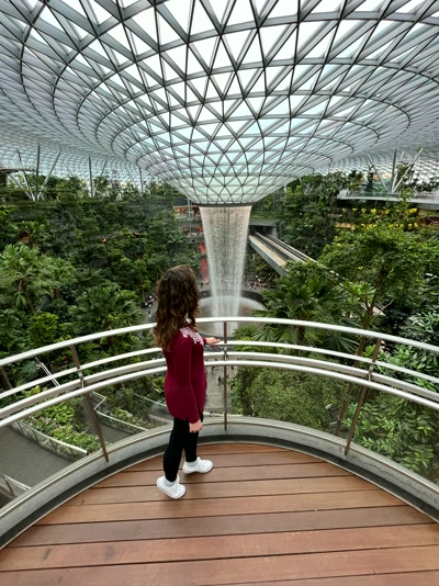 Pasarela sobre el bosque