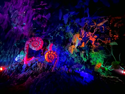 Corales fluorescentes