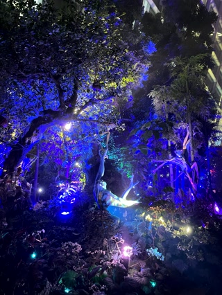 Bosque azul de noche
