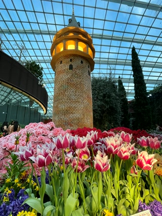 La torre del jardín