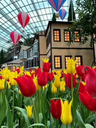 Tulipanes rojos y casas