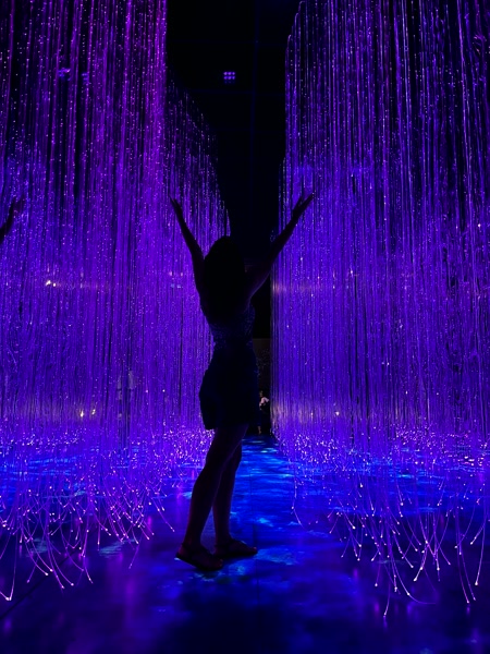 Lluvia de luces