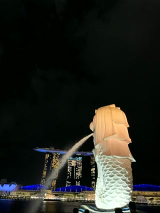El Merlion de noche