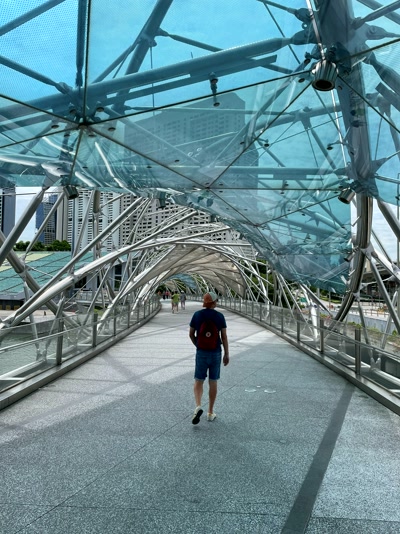 El puente del ADN