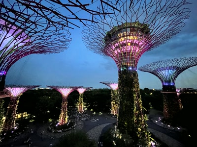 Los Supertrees al atardecer