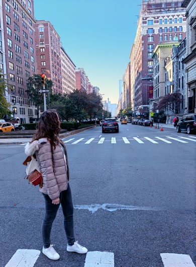 Camino de Central Park