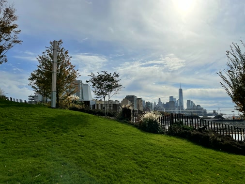 El bajo Manhattan desde el césped