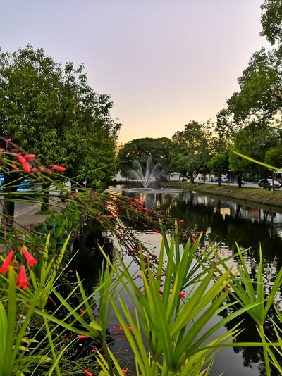 El río al final de la tarde