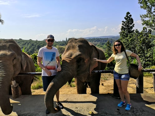Con los elefantes del Karen Elephant Retreat