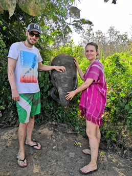 El elefante pequeño del grupo