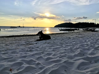 Sunrise Beach con sus barcas