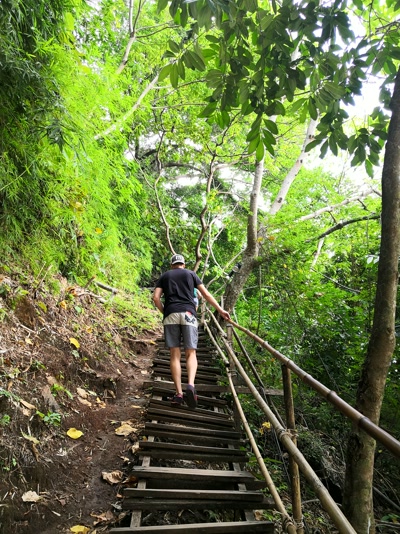 Las escaleras del Monkey Trail