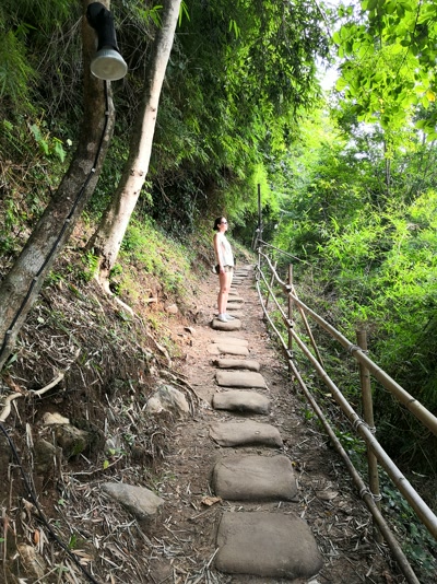 El sendero entre la selva
