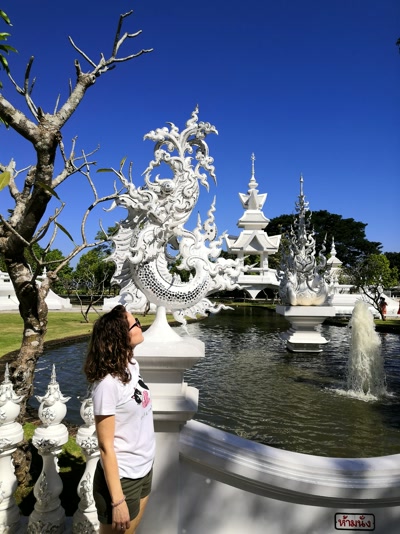 Un árbol seco entre tanto blanco