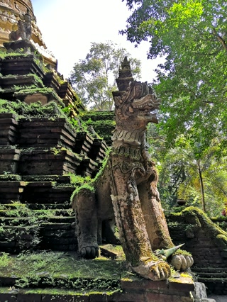 La escalera de la naga, cubierta de musgo